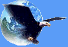 EagleFly